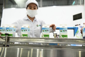 Mộc Châu Milk còn hơn 633 tỷ đồng vốn huy động chưa sử dụng
