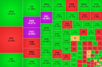 Cổ phiếu ngành phân bón 