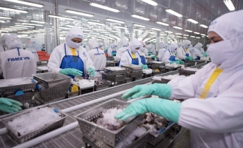 Sao Ta có tổng giám đốc mới, cổ phiếu tăng trần 2 phiên