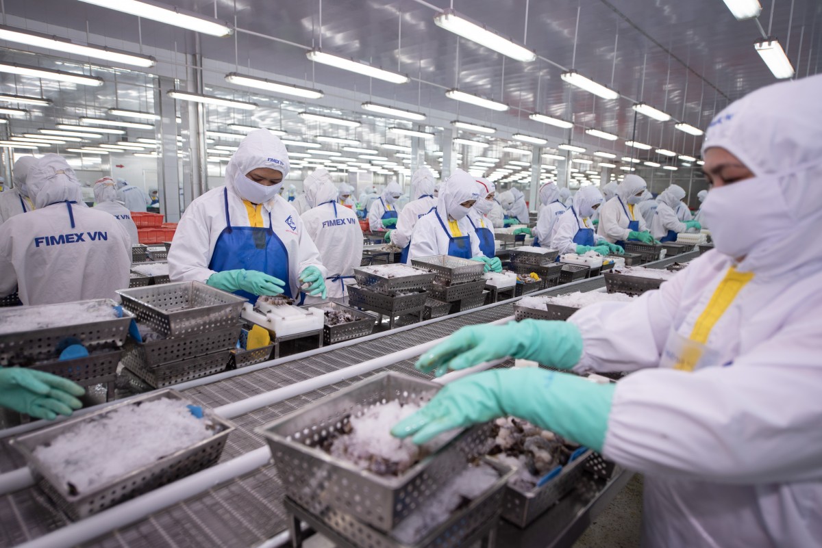 Sao Ta có tổng giám đốc mới, cổ phiếu tăng trần 2 phiên