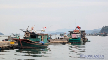 EC dự kiến kiểm tra IUU vào đầu tháng 3/2026