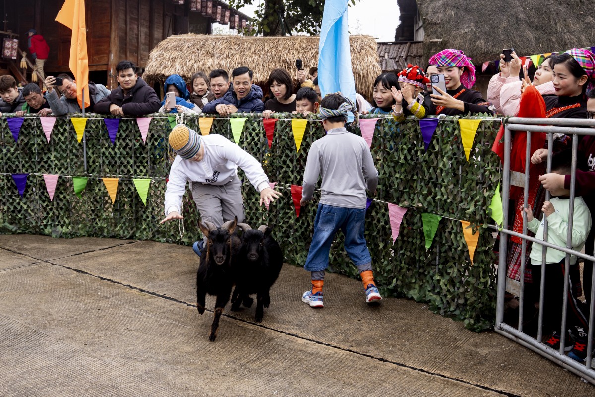 Du lịch Tết Bính Ngọ 2026: Những con số ấn tượng