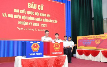 4 khu vực của TP HCM tiến hành bỏ phiếu bầu cử sớm