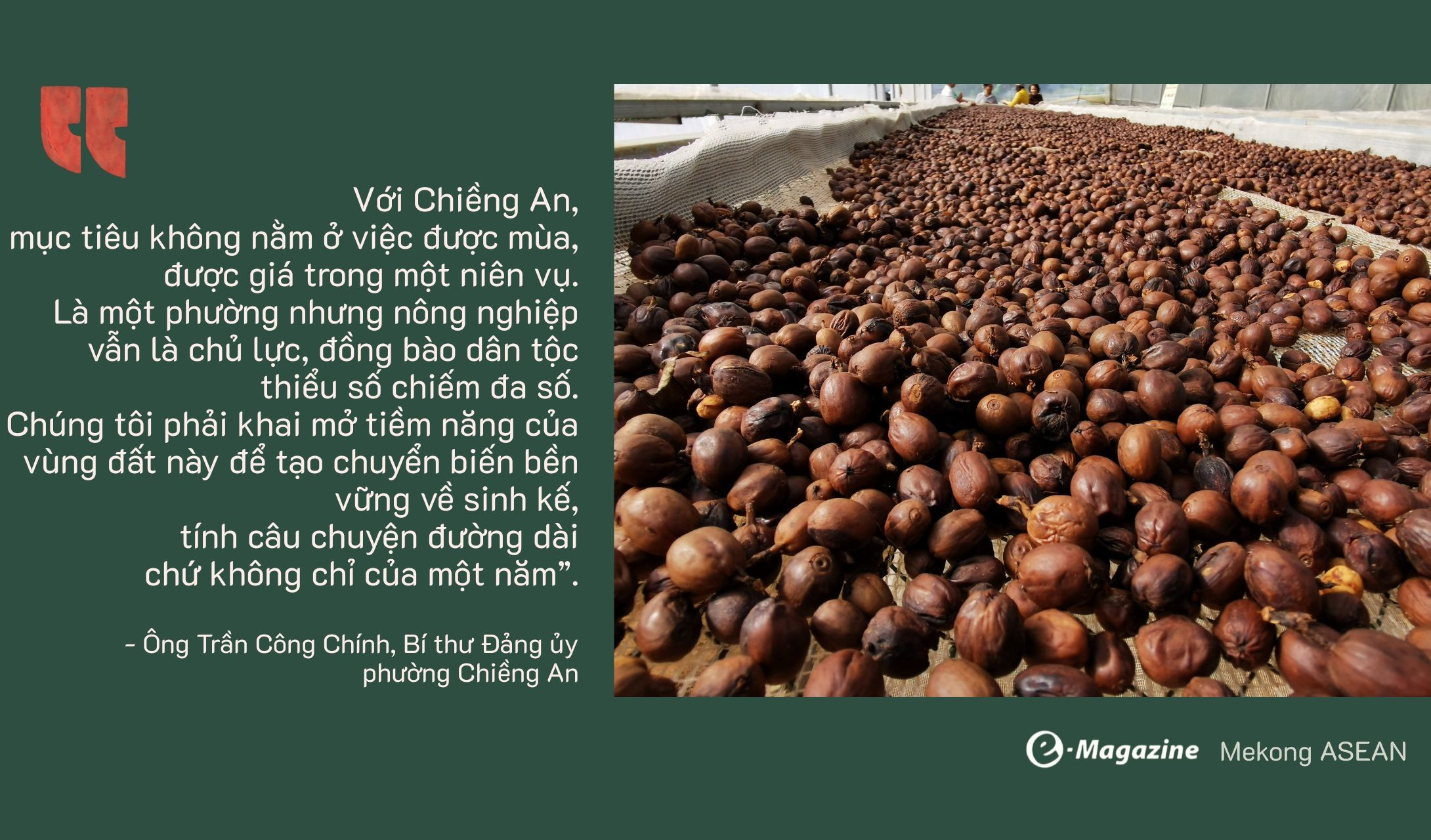 Chiềng An: Khát vọng xanh từ hạt cà phê Arabica chín đỏ Chiềng An: Khát vọng xanh từ hạt cà phê Arabica chín đỏ
