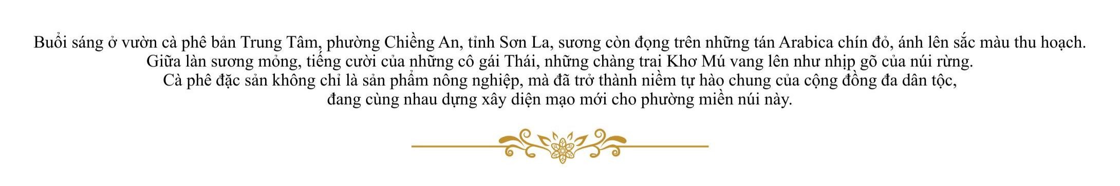 Chiềng An: Khát vọng xanh từ hạt cà phê Arabica chín đỏ Chiềng An: Khát vọng xanh từ hạt cà phê Arabica chín đỏ