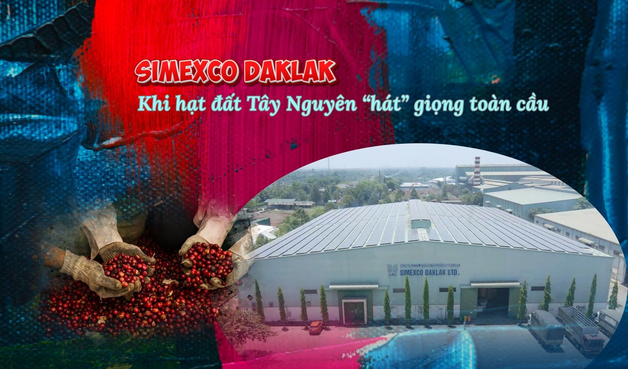 SIMEXCO DAKLAK: KHI HẠT ĐẤT TÂY NGUYÊN SIMEXCO DAKLAK Khi hạt đất Tây Nguyên hát giọng toàn cầu插图