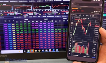 Cổ phiếu dầu khí, cảng biển tím trần trong phiên VN-Index đánh rơi 34 điểm