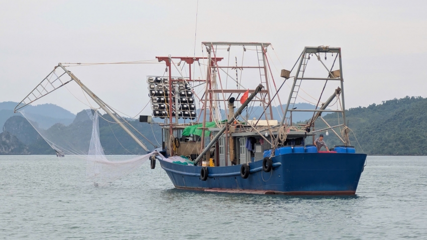 Doanh nghiệp thủy sản kinh doanh ra sao trong đầu năm 2026