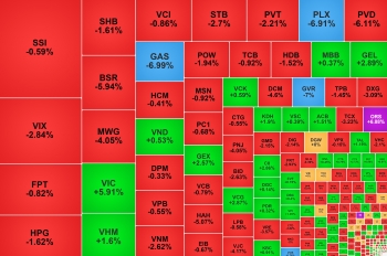Nhà đầu tư 'chóng mặt' vì biến động giá cổ phiếu