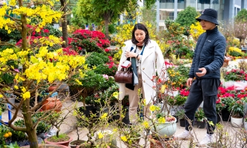 Giá thực phẩm, dịch vụ tăng trong dịp Tết đẩy CPI tháng 2 tăng 1,14%