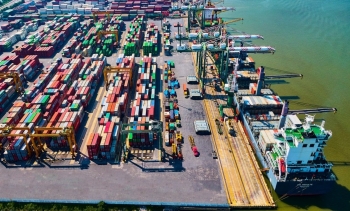 Cảng Xanh VIP hạ mục tiêu lợi nhuận năm 2026, lên kế hoạch “chuyển nhà” sang HOSE