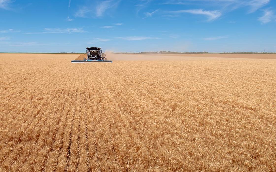 FAO: Chỉ số giá lương thực toàn cầu chấm dứt chuỗi giảm 5 tháng