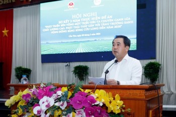 Đề án một triệu ha lúa chất lượng cao vượt 197% mục tiêu giai đoạn đầu