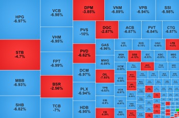 Gần 350 mã chứng khoán giảm sàn, nhóm dầu khí cũng 