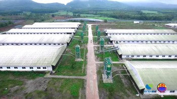 De Heus – Hùng Nhơn sẽ mở rộng đầu tư các dự án nông nghiệp tại Tây Ninh, Gia Lai