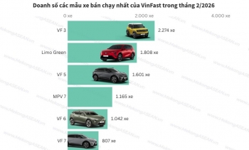 VinFast dẫn đầu thị trường nội địa tháng thứ 17 liên tiếp
