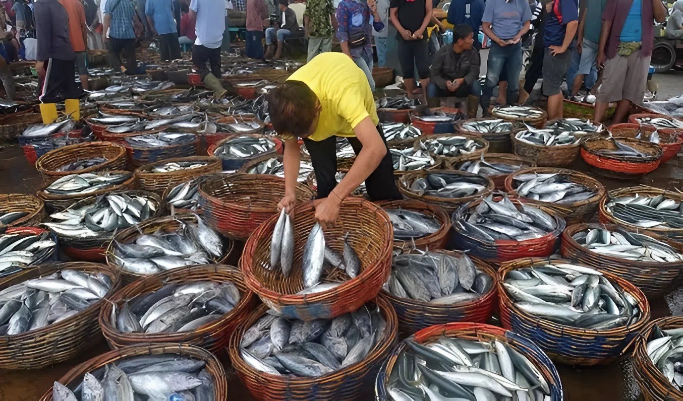 Indonesia siết chặt kiểm soát đối với các sản phẩm cá nhập khẩu