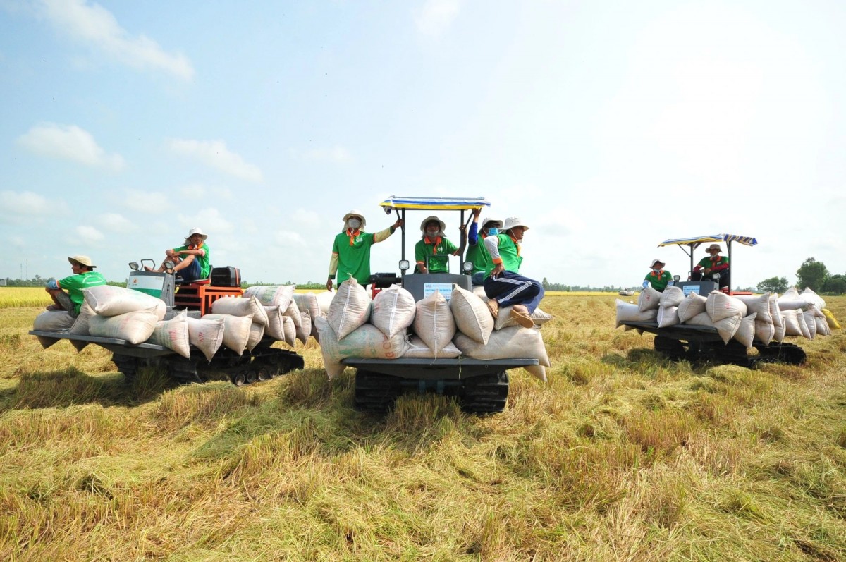 Ảnh minh hoạ: VGP.