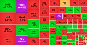 Cổ phiếu ngành phân bón 