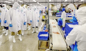 Vĩnh Hoàn dự chi tối đa 945 tỷ đồng mua lại cổ phiếu