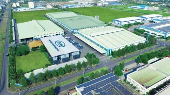 Mirae Asset 'gọi tên' loạt cổ phiếu cổ tức tiền mặt cao, định giá hấp dẫn