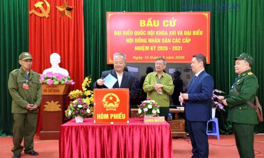 Cử tri cả nước nô nức tham gia 