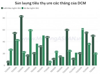 Phân bón Cà Mau hoàn thành 40% kế hoạch xuất khẩu ure năm 2026