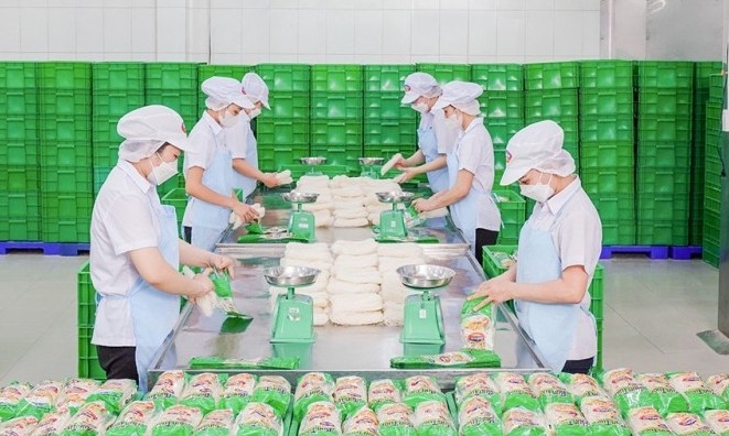 Safoco lên kế hoạch kinh doanh 2026 đi ngang, duy trì cổ tức 30%