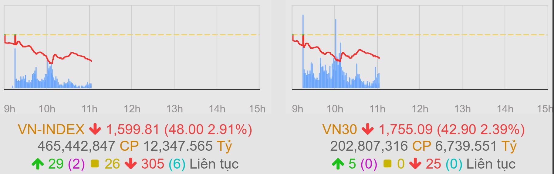 Áp lực bán gia tăng, VN-Index thủng mốc 1.600 điểm