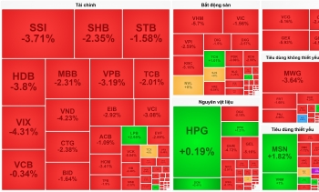 Áp lực bán gia tăng, VN-Index thủng mốc 1.600 điểm