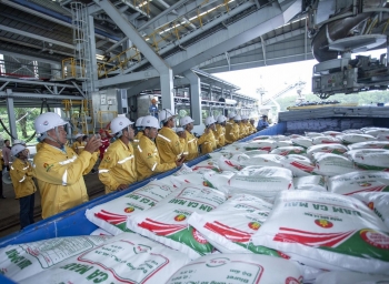 Xuất khẩu tăng mạnh, DCM vẫn thận trọng với mục tiêu kinh doanh