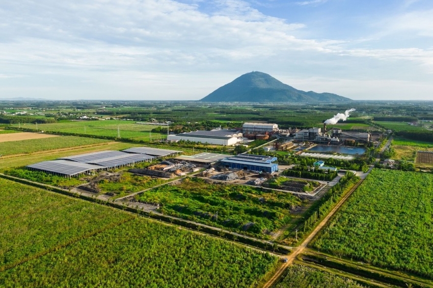 Cổ đông lớn đăng ký bán gần 44 triệu cổ phiếu SBT