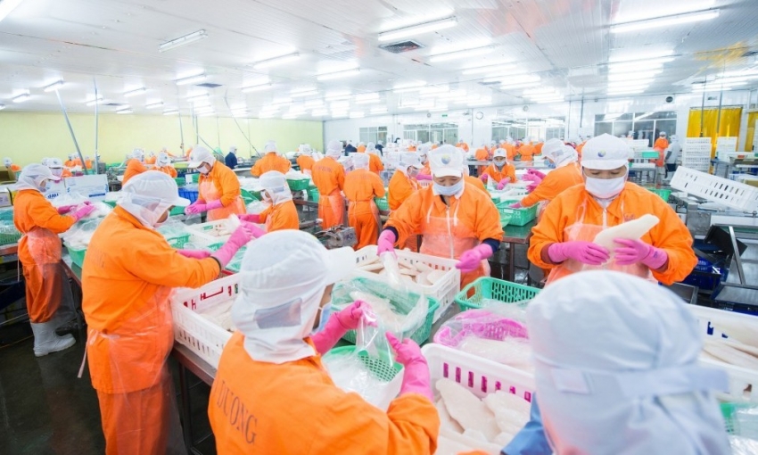 Phó Tổng giám đốc Navico muốn gom thêm một triệu cổ phiếu ANV