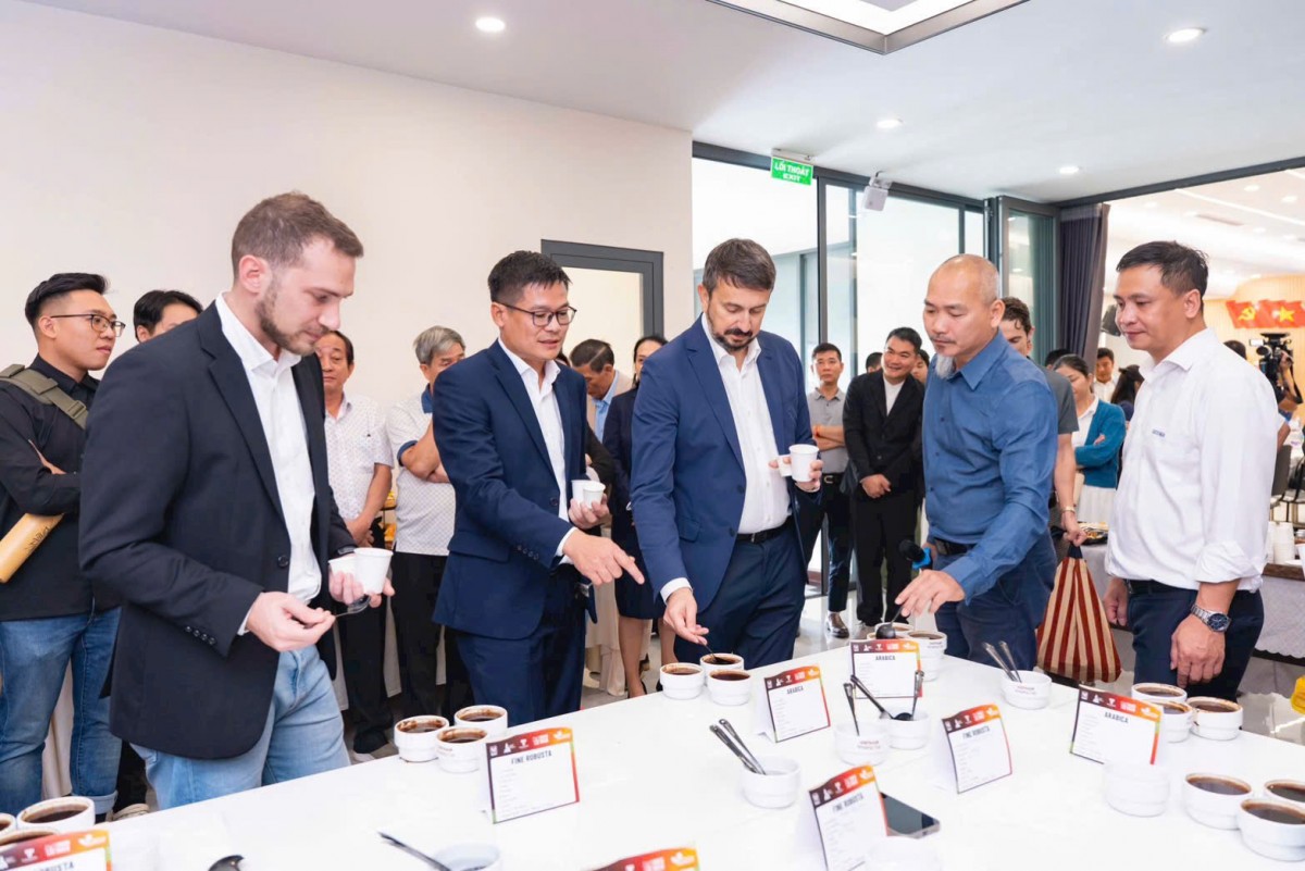 Việt Nam bắt đầu xây dựng tiêu chuẩn đánh giá chất lượng cà phê Robusta