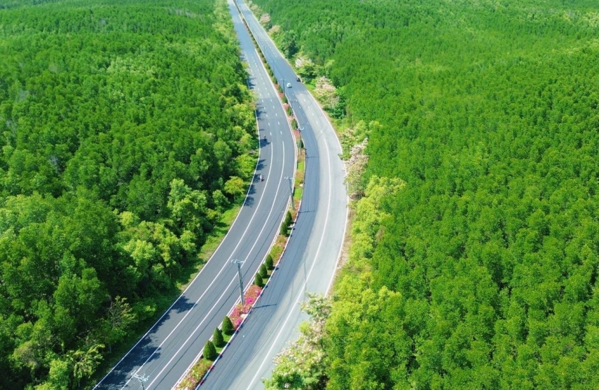 Hơn 5.000 vận động viên tham gia giải chạy Marathon tại Cần Giờ