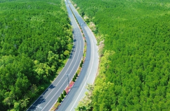 Hơn 5.000 vận động viên tham gia giải chạy Marathon tại Cần Giờ