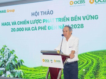 Hoàng Anh Gia Lai tham vọng lãi kỷ lục, chia cổ tức sau hơn 10 năm