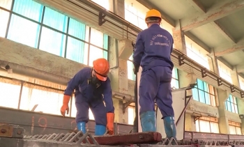 Vimico dự kiến chi gần 2.400 tỷ đồng trả cổ tức