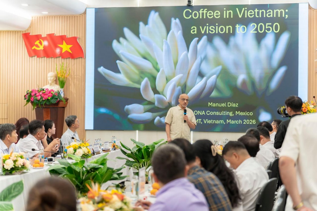 Đi tìm 'định nghĩa chất lượng' cho Robusta Việt Nam