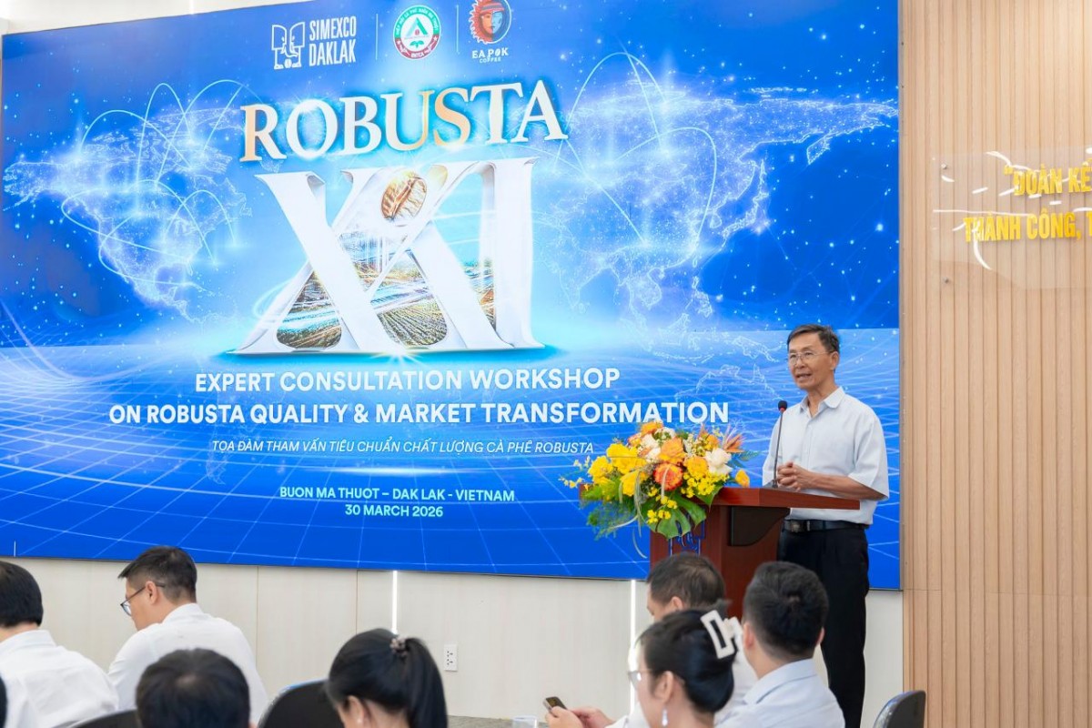 Đi tìm 'định nghĩa chất lượng' cho Robusta Việt Nam