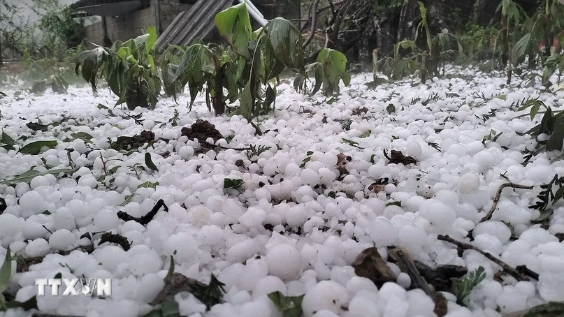 Ảnh minh họa mưa đá: TTXVN.