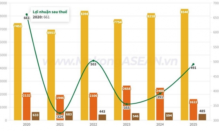 Vinacafé Biên Hoà sẽ không chia cổ tức năm 2025