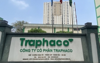 Traphaco muốn mở rộng kênh bán hàng, xây thêm nhà máy thuốc tại Hưng Yên