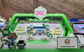 Hoá chất Đức Giang nêu lý do chậm nộp báo cáo tài chính kiểm toán