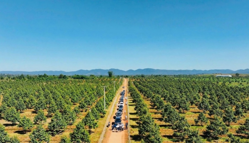 Hoàng Anh Gia Lai được miễn giảm hơn 1.500 tỷ đồng lãi trái phiếu