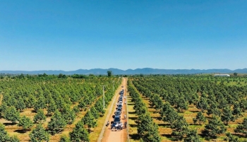 Hoàng Anh Gia Lai được miễn giảm hơn 1.500 tỷ đồng lãi trái phiếu