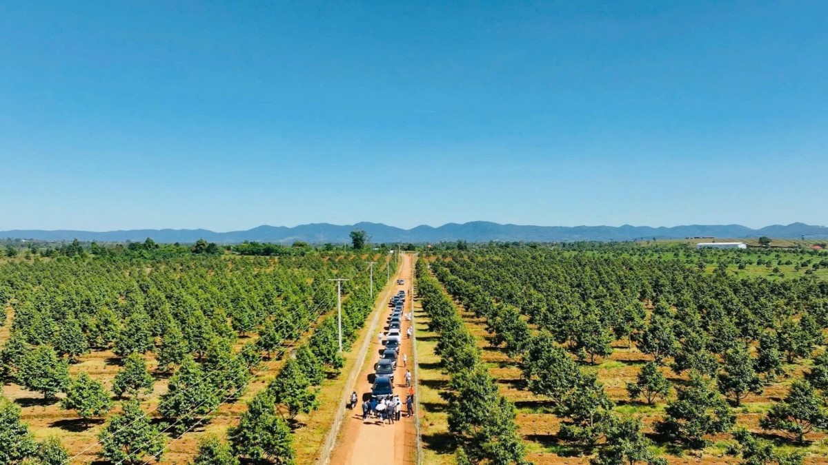 Hoàng Anh Gia Lai được miễn giảm hơn 1.500 tỷ đồng lãi trái phiếu