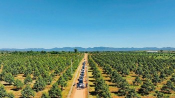 Hoàng Anh Gia Lai được miễn giảm hơn 1.500 tỷ đồng lãi trái phiếu