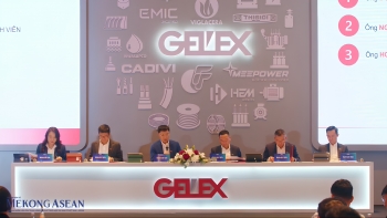 ĐHĐCĐ Gelex: Ông Nguyễn Văn Tuấn trở lại HĐQT, mục tiêu doanh thu gần 45.000 tỷ đồng
