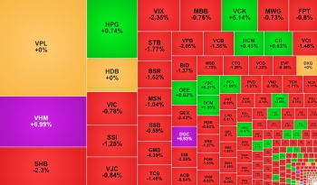 VHM tăng trần phiên thứ hai, DGC bất ngờ 'trắng bên bán'